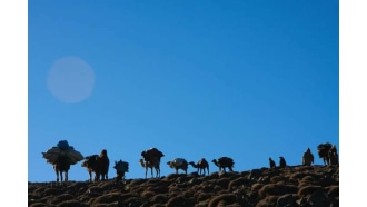 marrakech-sightseeing