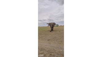 serengetinationalpark-sightseeing