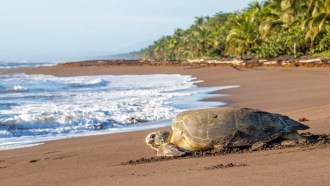 santacruzguanacaste-sightseeing