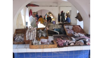 essaouira-sightseeing