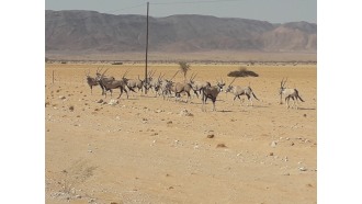 windhoek-sightseeing