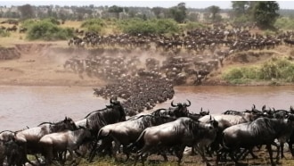 arusha-sightseeing