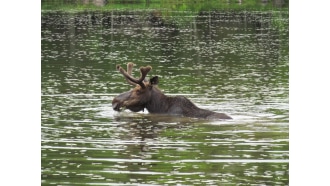 mountkatahdin-sightseeing