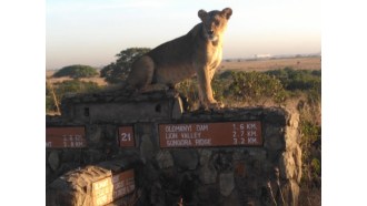 nairobi-sightseeing