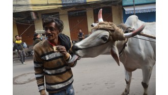 delhi-sightseeing