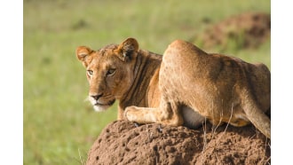 fortportal-sightseeing