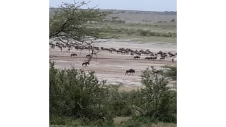 arusha-sightseeing