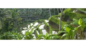 bali-sightseeing