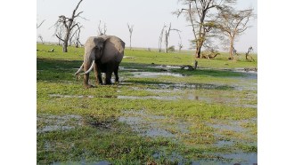 wasiniisland-sightseeing