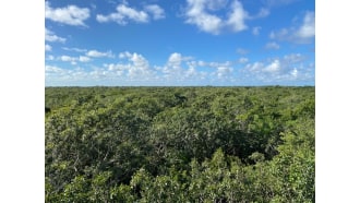 tulum-sightseeing