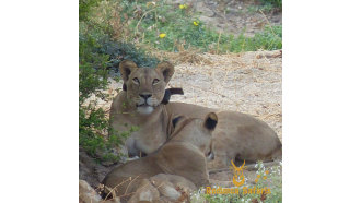 arusha-sightseeing