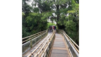 fozdoiguacu-sightseeing