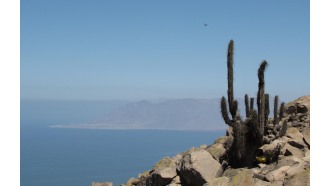 antofagasta-sightseeing