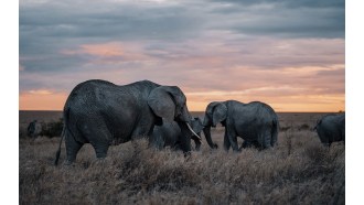 arusha-sightseeing