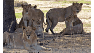 arusha-sightseeing