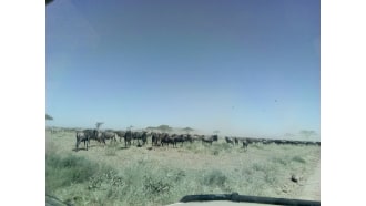 arusha-sightseeing