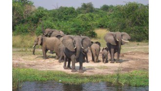 kasese-sightseeing