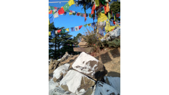 dharamshala-sightseeing