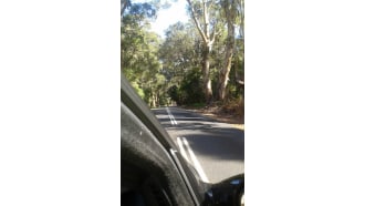 margaretriver-sightseeing