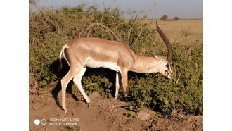 nairobi-sightseeing