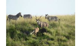 addisababa-sightseeing