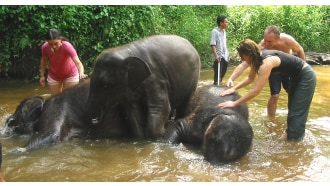 tamannegara-sightseeing