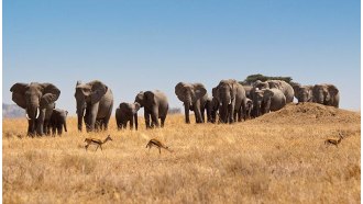 mountkilimanjaro-sightseeing