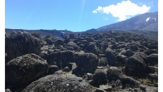 mountkilimanjaro-sightseeing