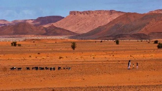 marrakech-sightseeing