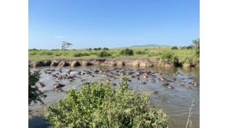 nairobi-sightseeing