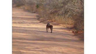 kariba-sightseeing