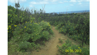 easterisland-sightseeing