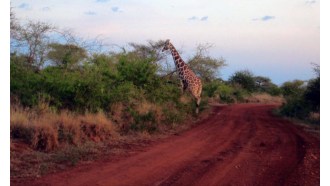 nairobi-sightseeing