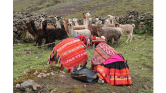 cusco-sightseeing