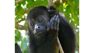 belize-sightseeing