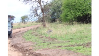 arusha-sightseeing