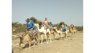 essaouira-sightseeing