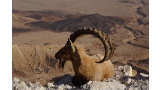 jerusalem-sightseeing