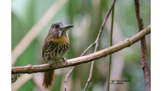 cararanationalpark-sightseeing