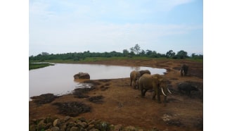 kisumu-sightseeing