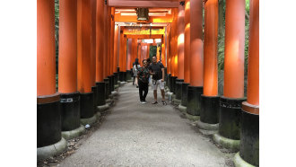 kyoto-sightseeing