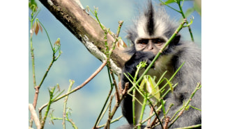 mountleuser-sightseeing