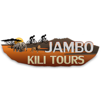 jambokilitours-arusha-tour-operator