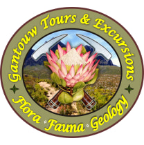 gantouwtoursandexcursions-capetown-tour-operator