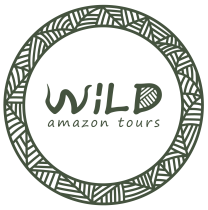 wildamazotoursexpedition-manaus-tour-operator