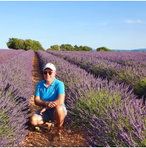 bonjour provence tours marseille