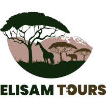 elisamtoursltd-daressalaam-tour-operator