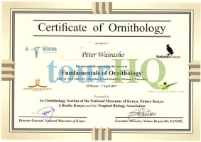 License Image