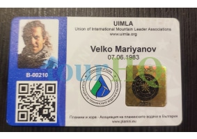 License Image