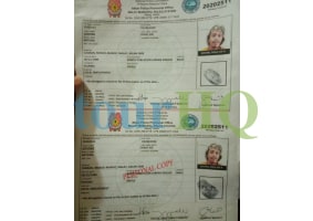 License Image